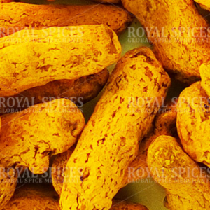 NGHỆ